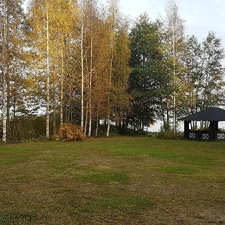 Villa Kultakukkura Hirsikartano