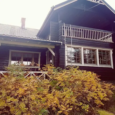 Villa Kultakukkura Hirsikartano *
