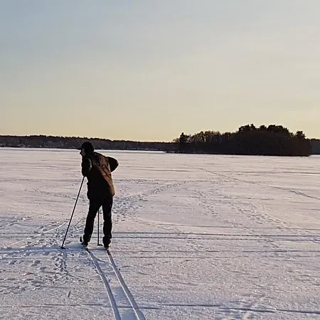 Kultakukkura Hirsikartano